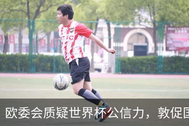 欧委会质疑世界杯公信力，敦促国际足联加强框架