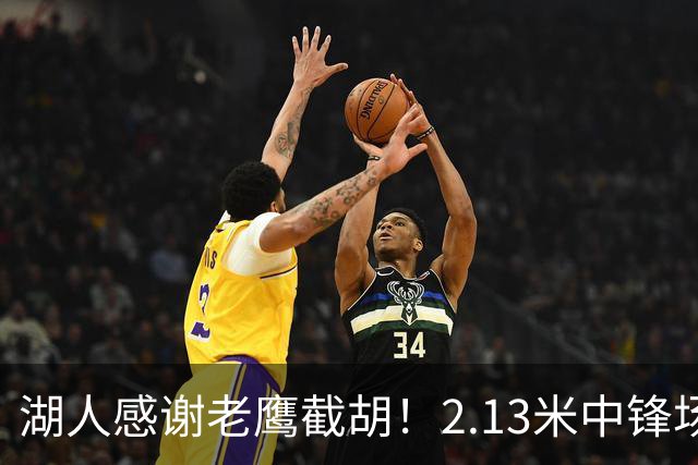 湖人感谢老鹰截胡！2.13米中锋场均8+4远低预期 萨总930万亏哭了